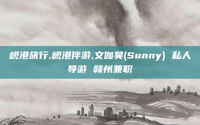 永康岘港旅行,岘港伴游,文伽昊(Sunny) 私人导游 赣州兼职