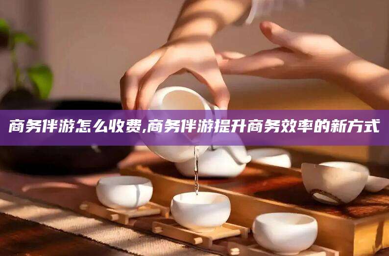 永康商务伴游怎么收费,商务伴游提升商务效率的新方式